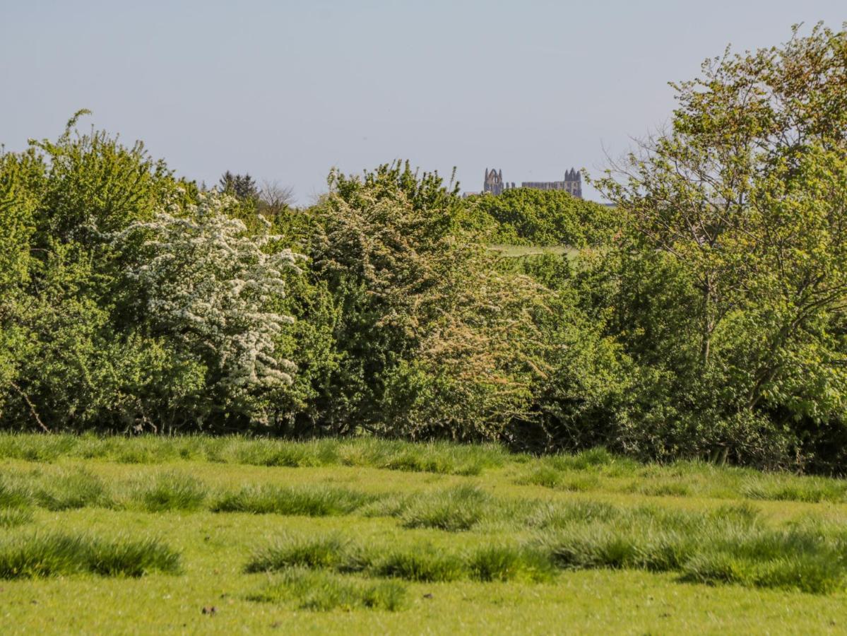 Danby Cottage ويتبي المظهر الخارجي الصورة